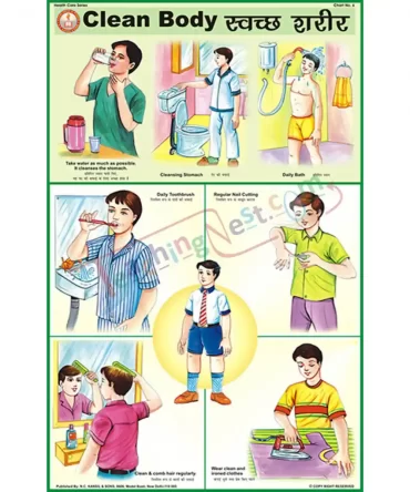 Clean Body Chart, English-Hindi
