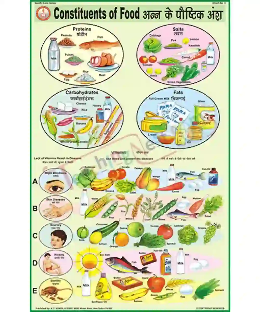 Constituents of Food Chart, English-Hindi