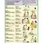 Immunization Chart, English-Hindi