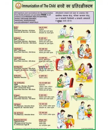 Immunization Chart, English-Hindi