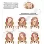 Face Presentation Chart, 51 x 66 cm