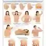 Breast Self Examination Chart, 51 x 66 cm