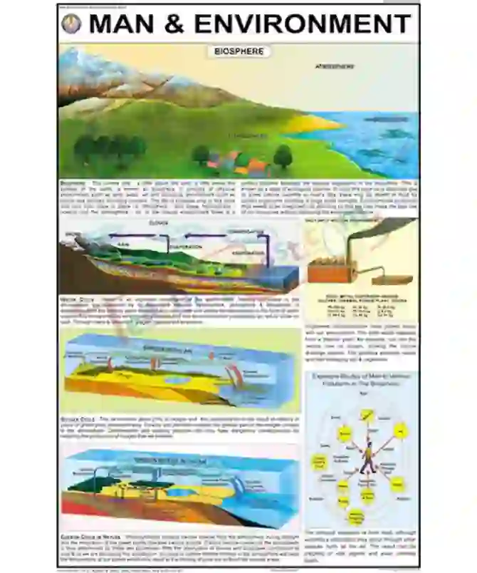 Man & Environment Chart, English