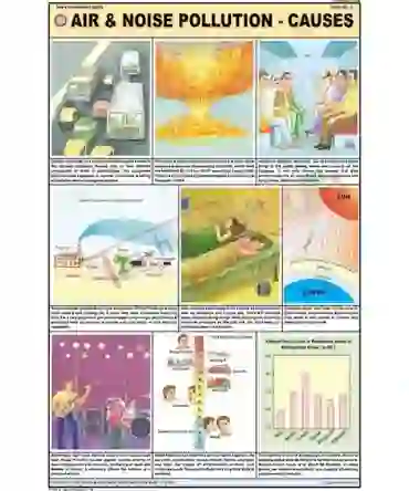 Air & Noise Pollution (Causes) Chart, English