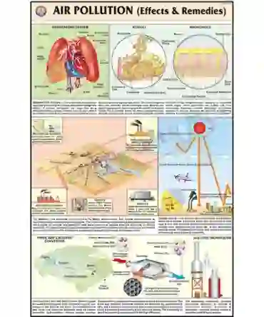 Air Pollution (Effects and Remedies) Chart, English