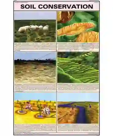 Soil Conservation Chart, English