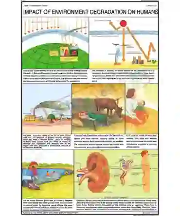 Impact of Environment Degradation on Humans Chart, English