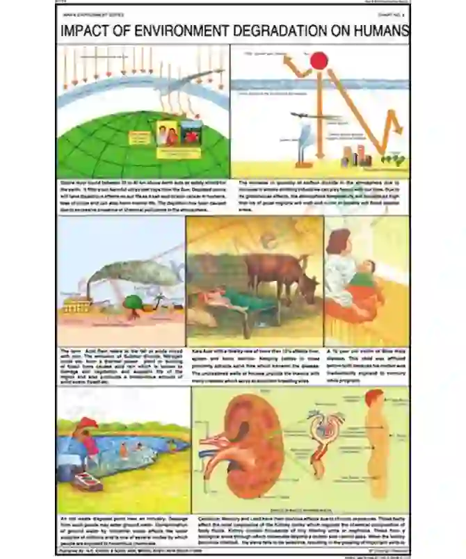 Impact of Environment Degradation on Humans Chart, English