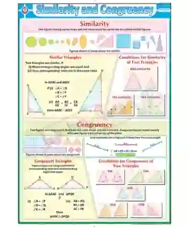 Similarity & Congruency Chart - Synthetic