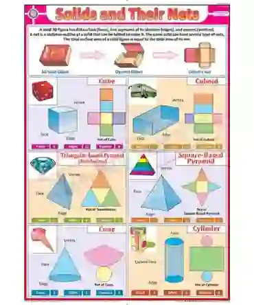 Solids & Their Nets Chart - Synthetic