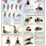 Yog Mudras, Padmasan and Matsyasan Chart - Laminated, With Rollers, 50x70 cm