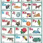 English Alphabets - Laminated, Wall Sticking, 13x19 inch