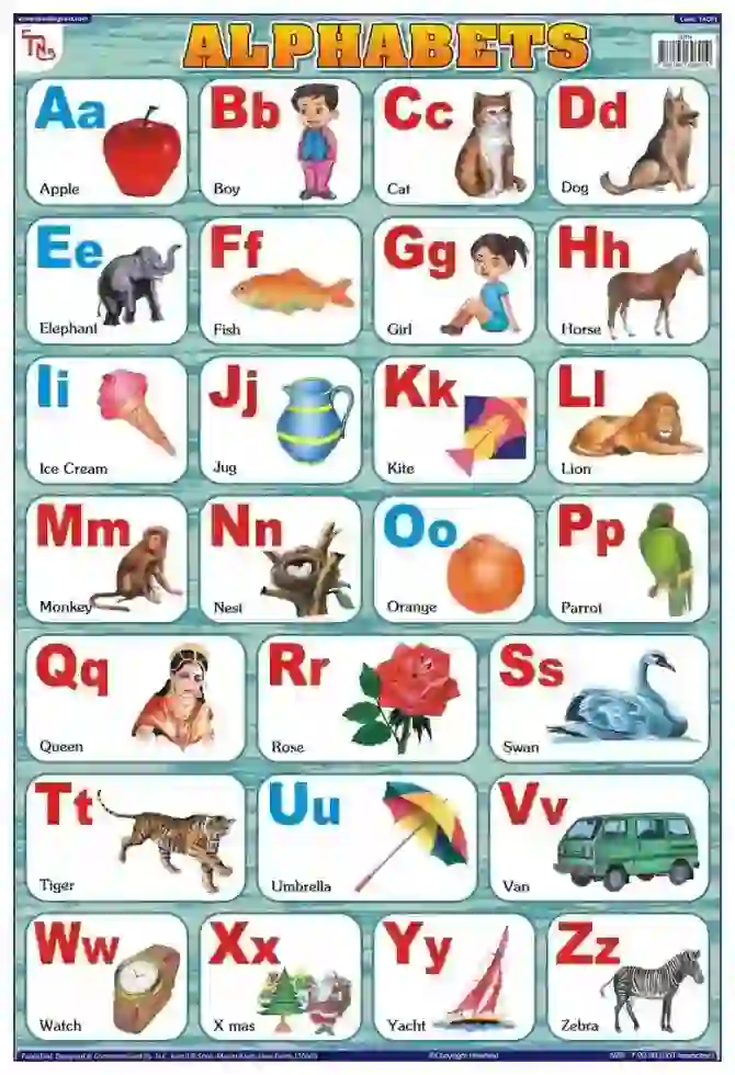 English Alphabets - Laminated, Wall Sticking, 13x19 inch