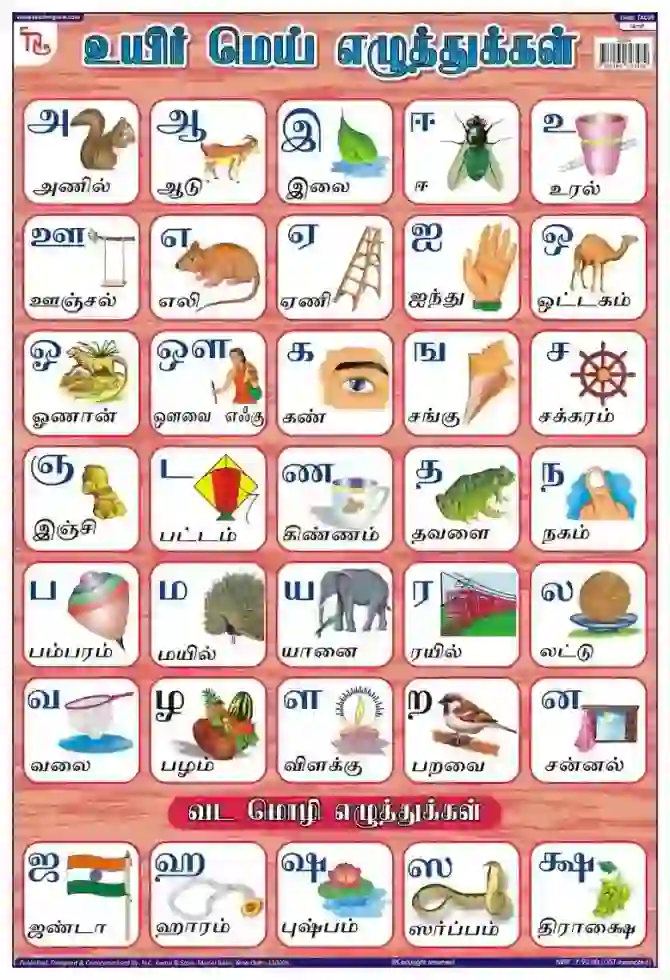 Tamil Alphabet - Laminated, Wall Sticking, 13x19 inch