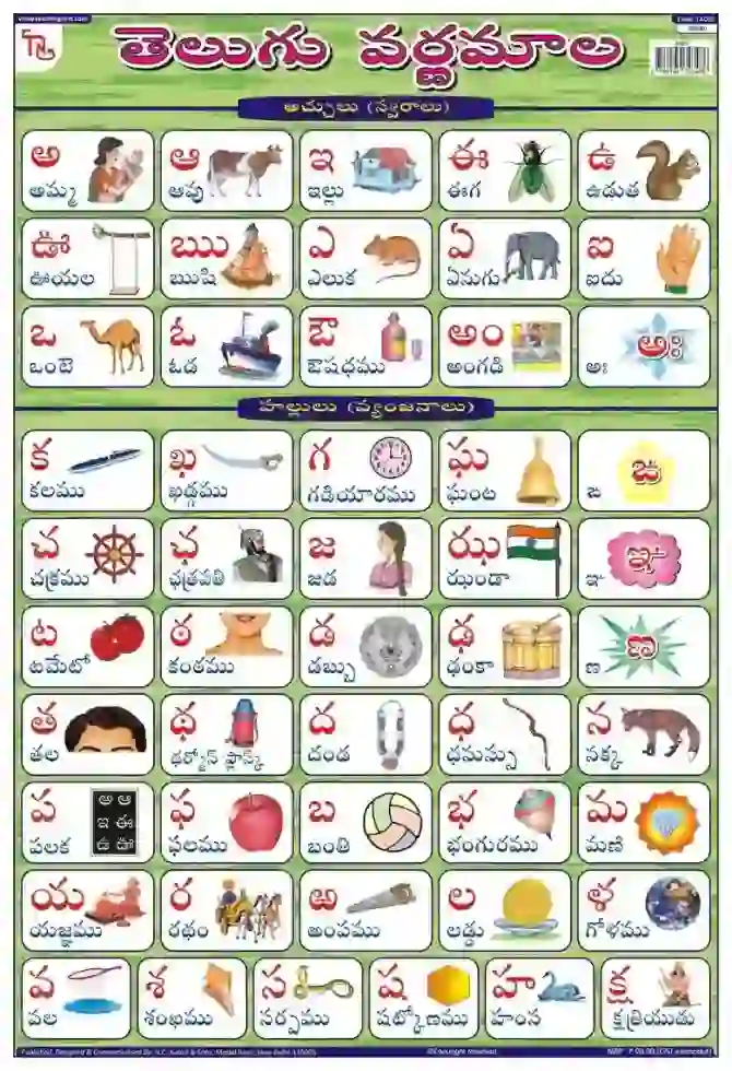 Telugu Alphabet - Laminated, Wall Sticking, 13x19 inch