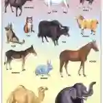 Domestic Animals - Laminated, Wall Sticking, 13x19 inch,