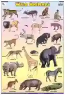 Wild Animals Chart - Wall Sticking, 13x19 inch