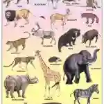 Wild Animals Chart - Wall Sticking, 13x19 inch