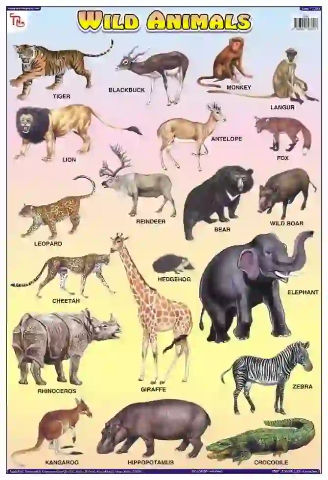 Wild Animals Chart - Wall Sticking, 13x19 inch