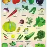 Vegetables Chart - Wall Sticking, 13x19 inch