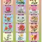 Flowers Chart - Wall Sticking, 13x19 inch