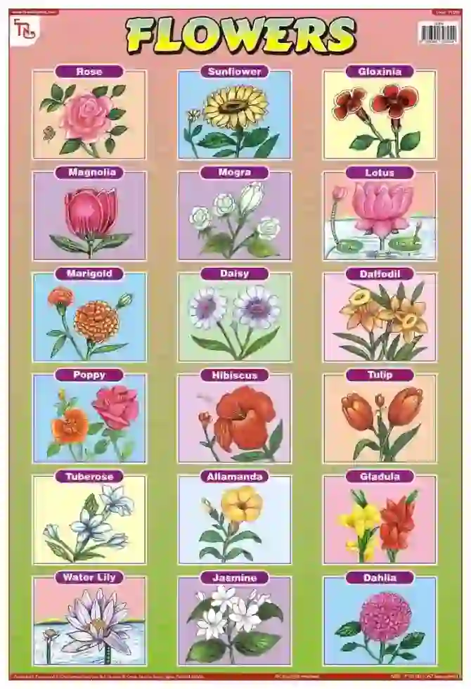 Flowers Chart - Wall Sticking, 13x19 inch