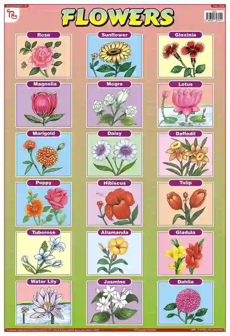 Flowers Chart - Wall Sticking, 13x19 inch