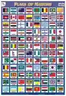 Flags of Nations - Laminated, Wall Sticking, 13x19 inch