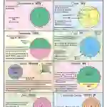 Circle Chart - Laminated, With Rollers